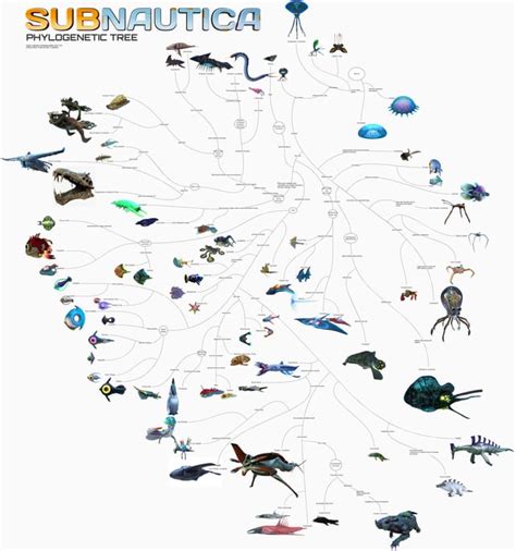 subnautica phylogenetic tree|Evolutionary relationships of the fauna in Subnautica.